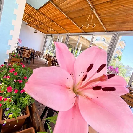 Abedini Hotel