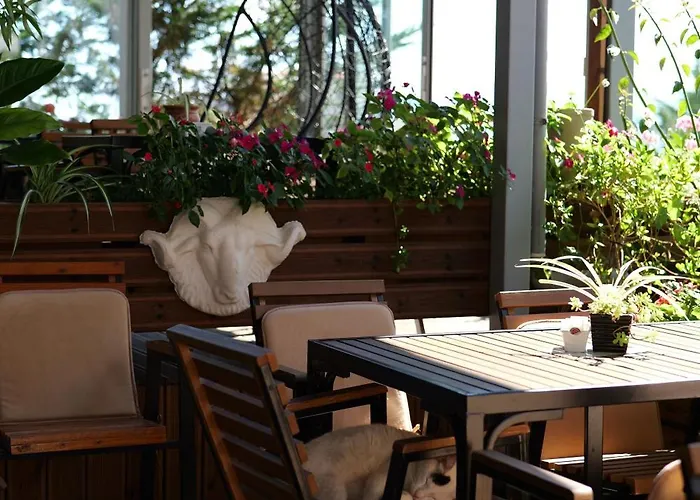Abedini Hotel 3*