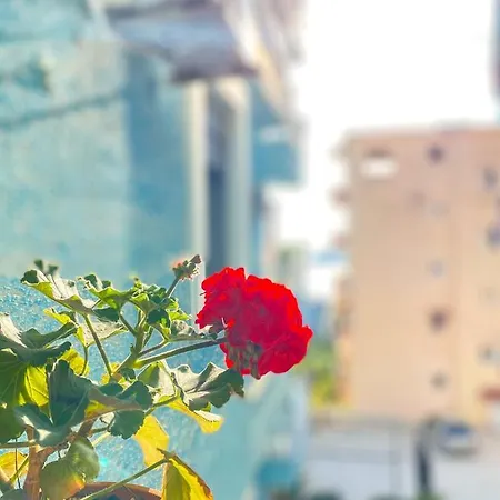 Abedini Hotel