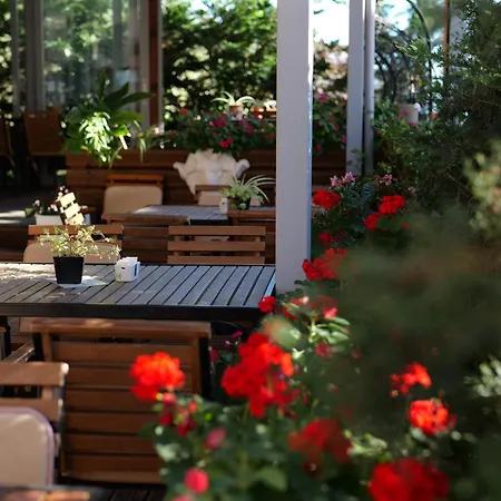 Ξενοδοχείο Abedini 3*